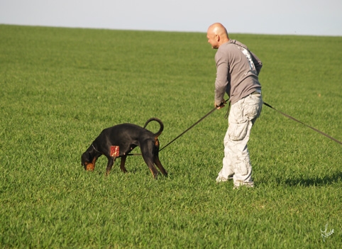 Training in Prague 3/2007